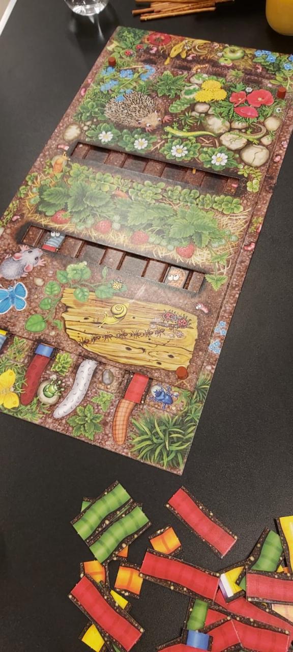 Spieleabend 5