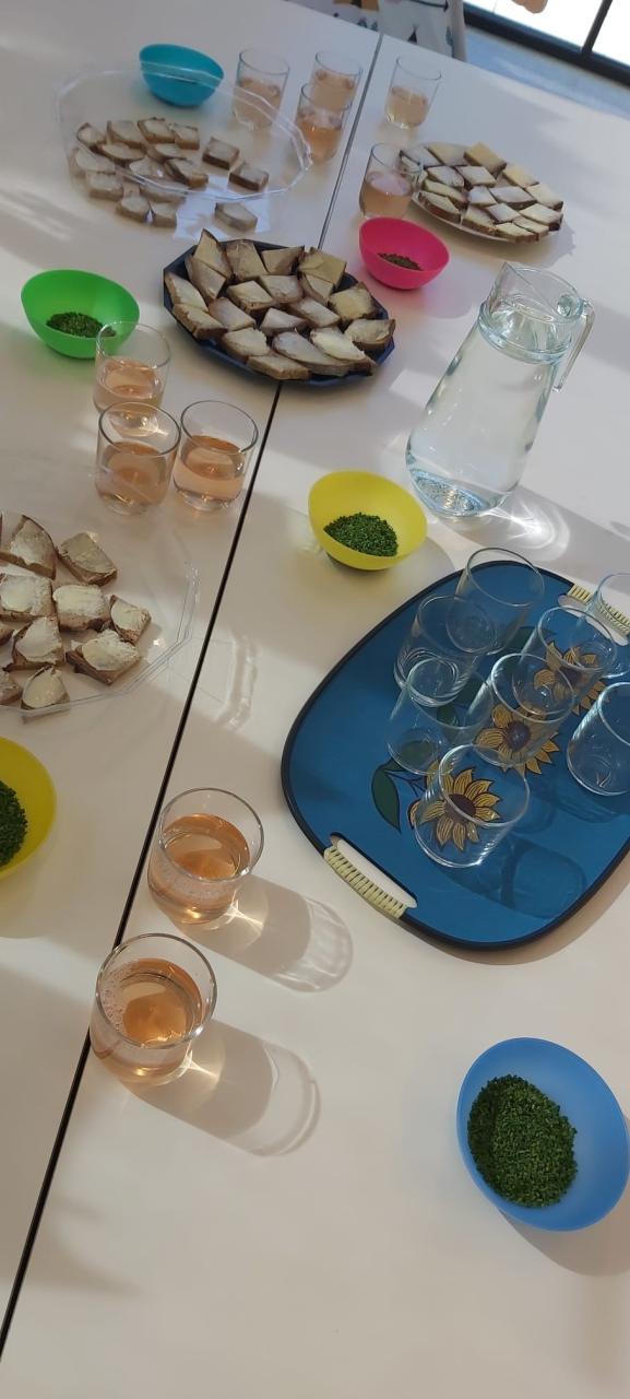 MINT Workshop Bild 9