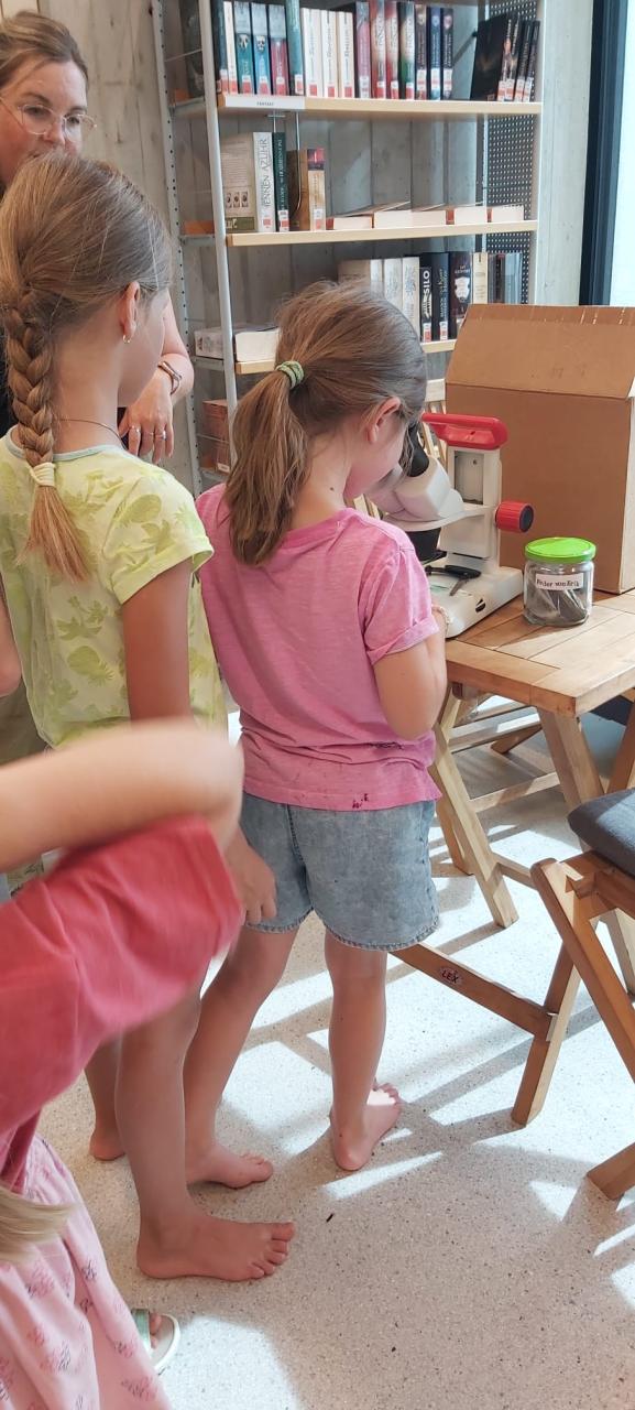 MINT Workshop Bild 16