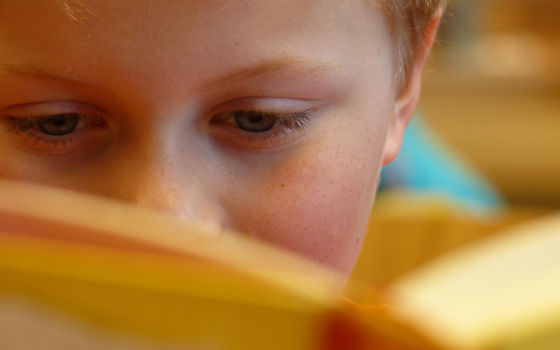 Junge mit einem Buch, welches sein Gesicht halb verdeckt