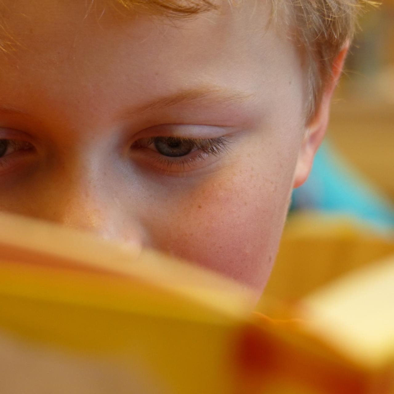 Junge mit einem Buch, welches sein Gesicht halb verdeckt
